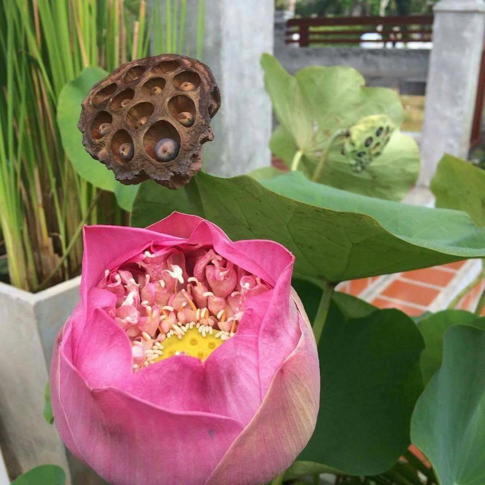 Arthaya Villas - Sha Extra Plus Ko Lanta Eksteriør bilde